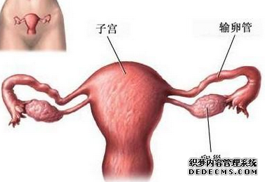 输卵管不通的危害