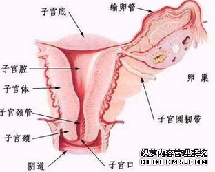 输卵管炎对女性的危害是什么